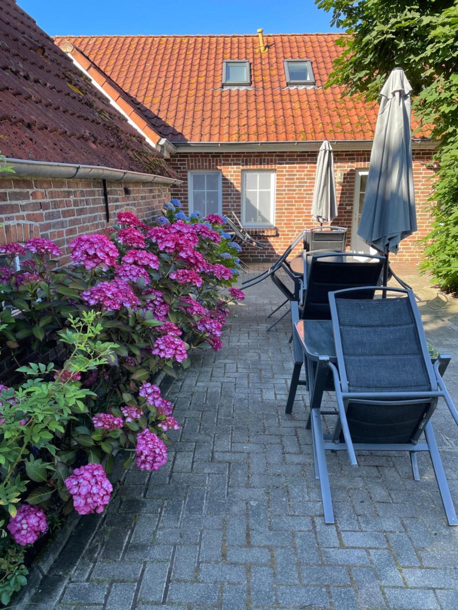 Apartment Seestern Am Naturstrand *