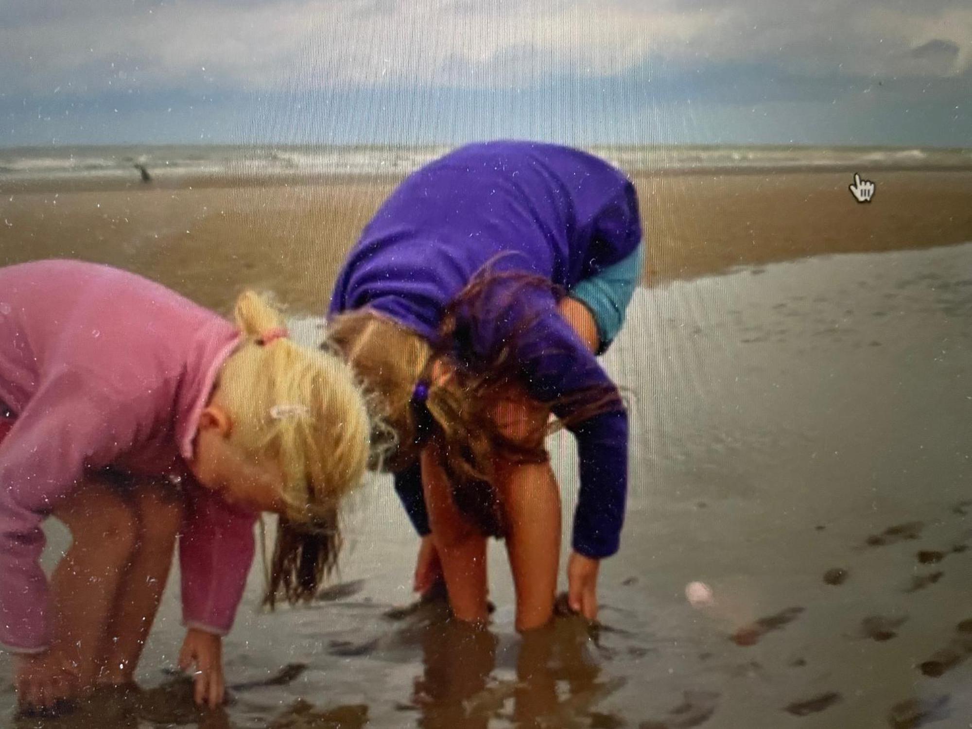 Seestern Am Naturstrand *